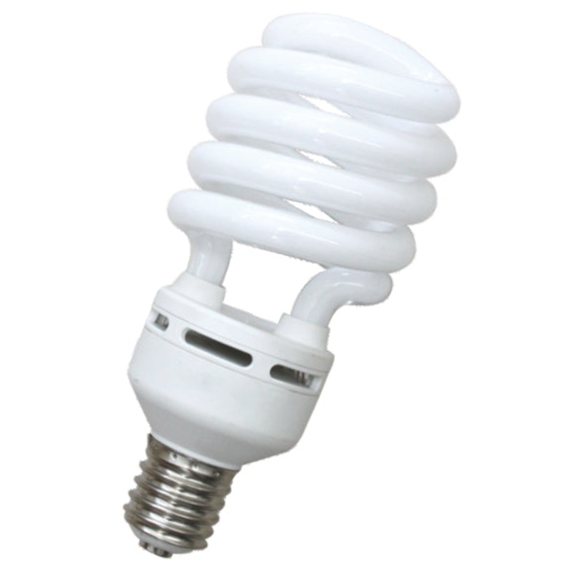Omni E40 Spiral Lamp Light