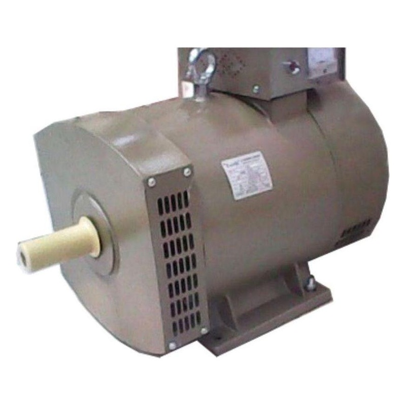 Zacchi Alternator Electric Motor (ST Series)